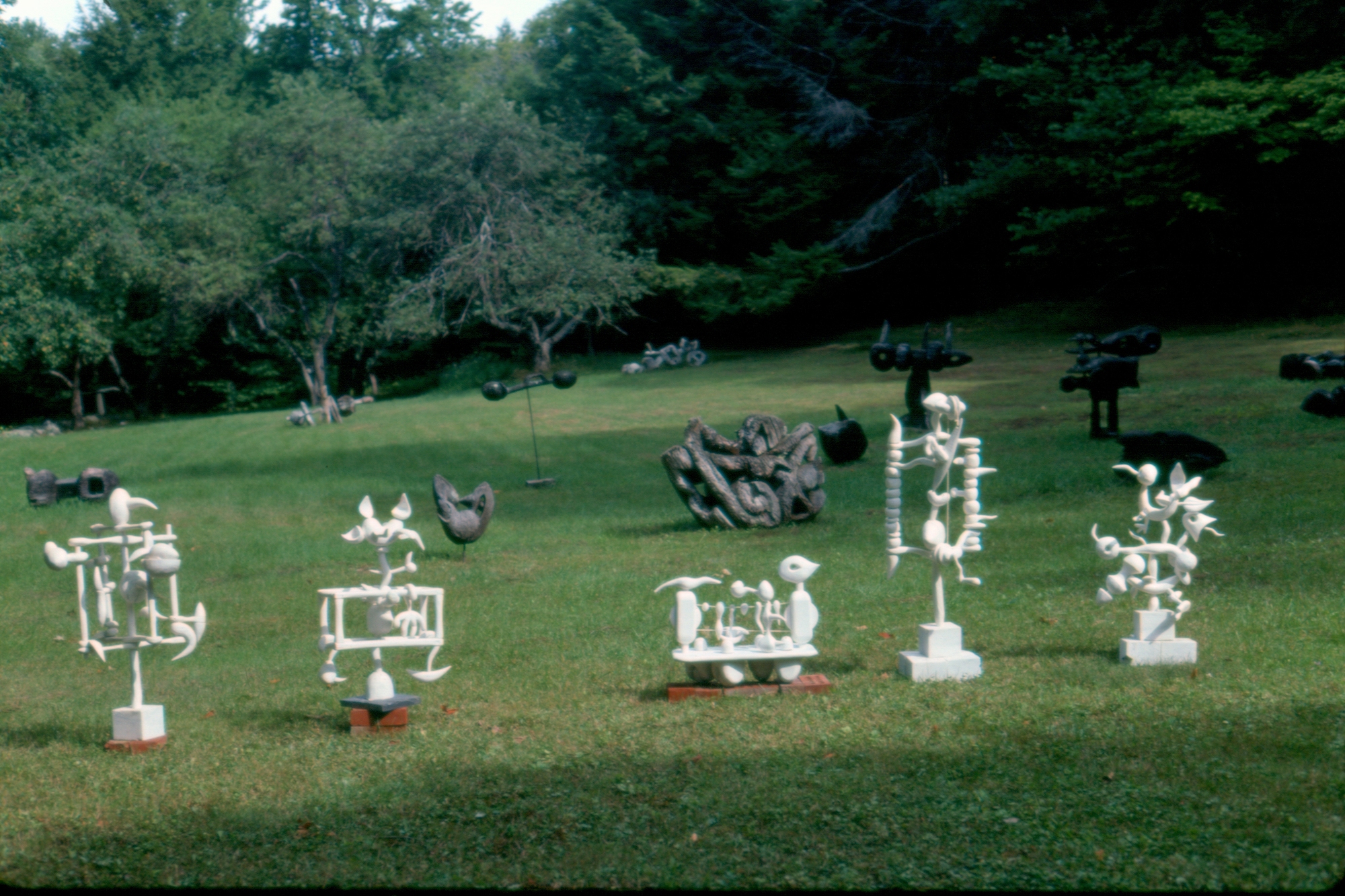 White Sculpture Field